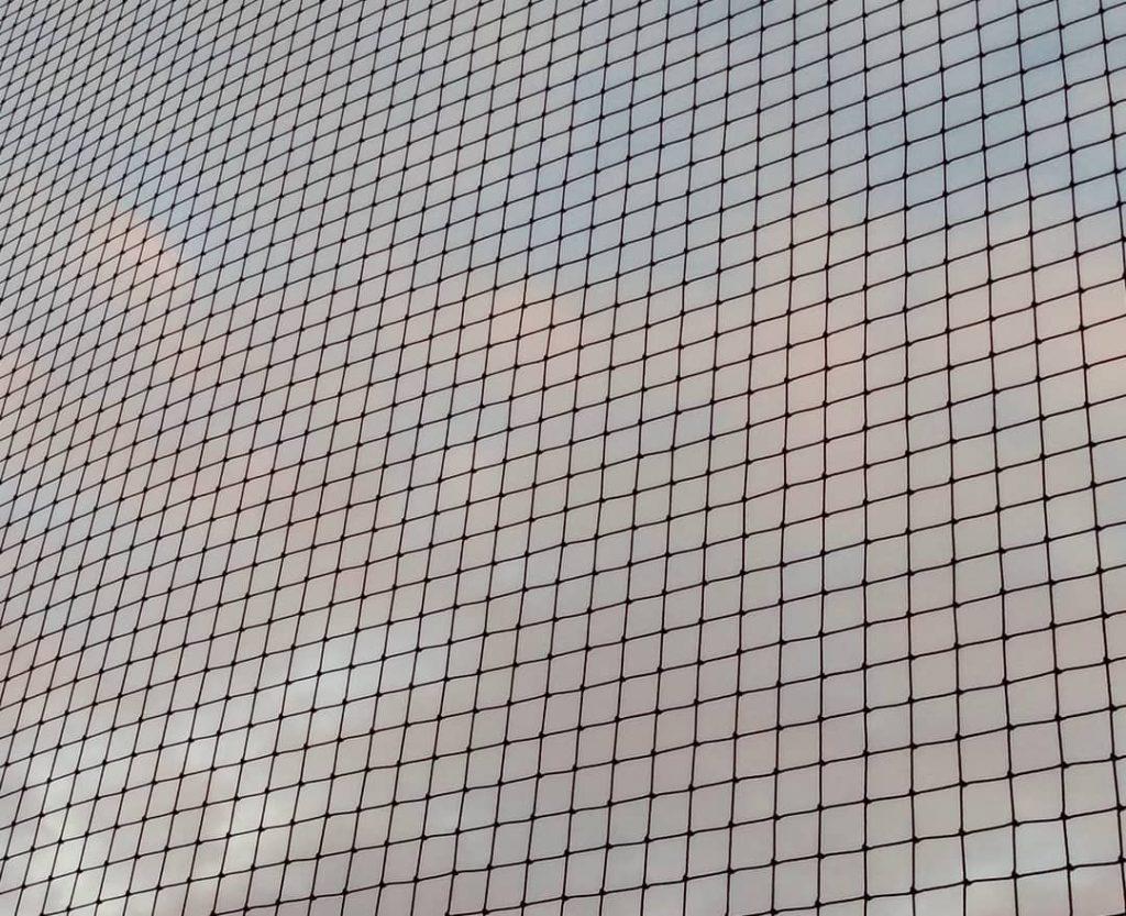 Closeup photograph of baseball netting with a blue sky and pinkish clouds behind it. 