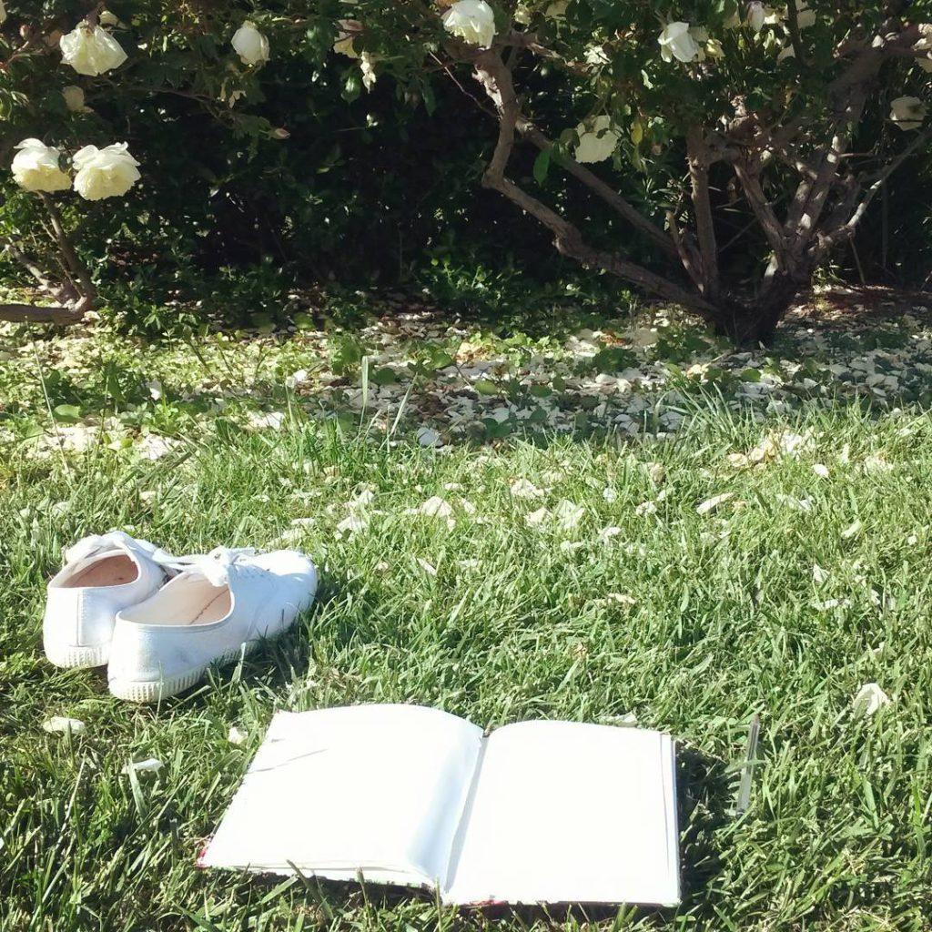 Photograph of a pair of white sneakers and an open journal lying on the grass next to a rose bush.